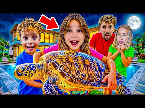 TOSPİĞİN İKİZİ ‼️ KUZEY ELİF SAKIN ŞAŞIRMAYIN !!