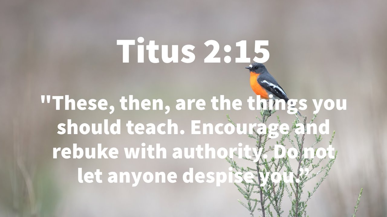 Men Bible Study - Titus 2:15