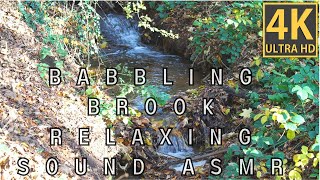 Escape into Tranquility ?with Babbling Brook Water ?asmr relax relaxing watersounds peaceful