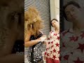 No runway required #FashionWeek #LIONBABE #nyfw #dancemusic #alternativernb #glam #hair