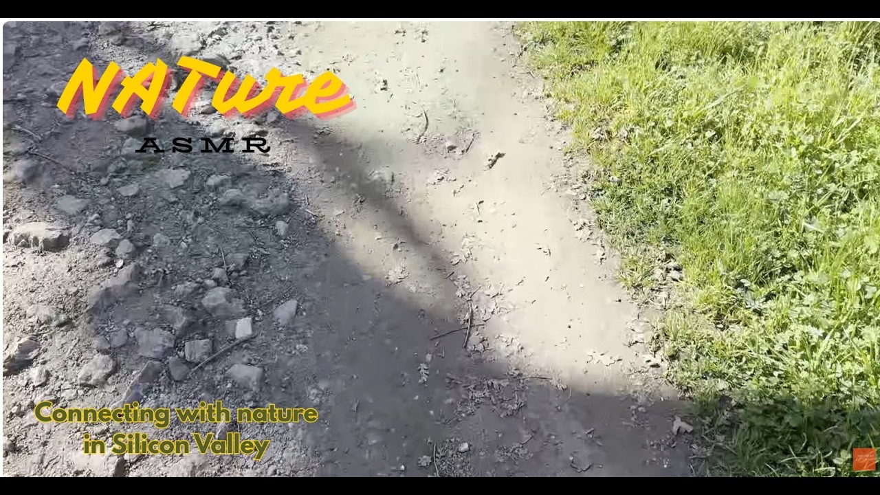 Footsteps, Breathing, and Birds | Hiking ASMR | Almaden Quicksilver 2026