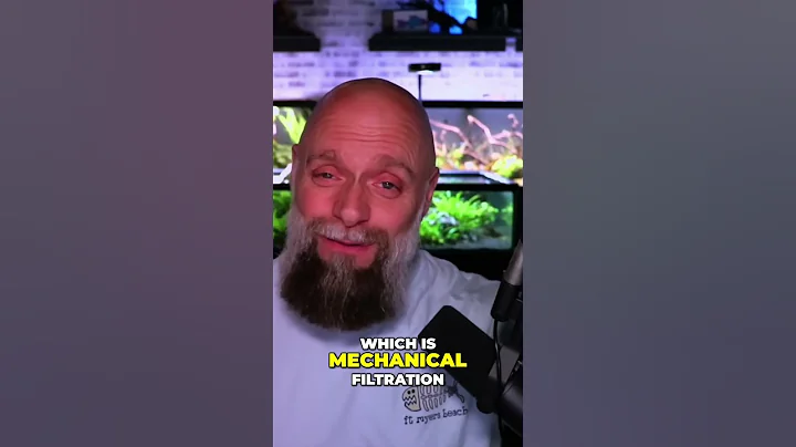 Upgrade Your Aquarium’s Filtration with Hang On Back Filters