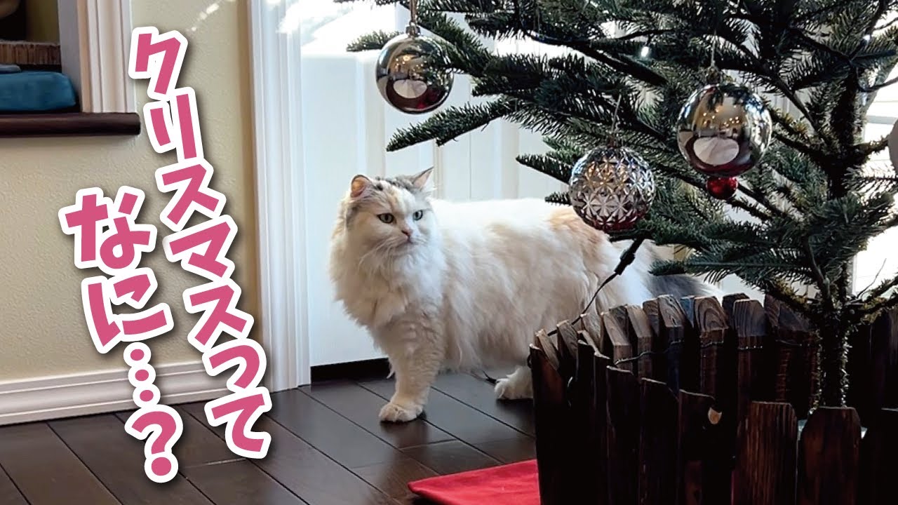 What is Christmas? - YouTube