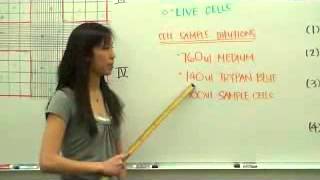 hemacytometer count  sabrina lin