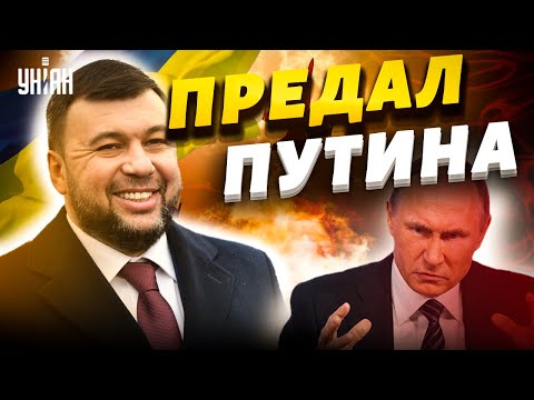 Пушилин стал корректировщиком ВСУ. Крысы готовятся бежать из "ДНР"