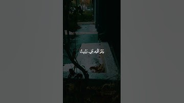 وهو الذي أنشأ لكم السمع والأبصار والأفئدة - القاريء ياسر الدوسري - سورة المؤمنون #قرآن_كريم