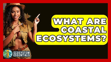 What Are Coastal Ecosystems? - Ecosystem Essentials
