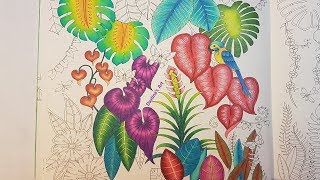 Parrot In The Jungle | Part 2 | Coloring Amazing Leaves in MAGICAL JUNGLE by Johanna Basford