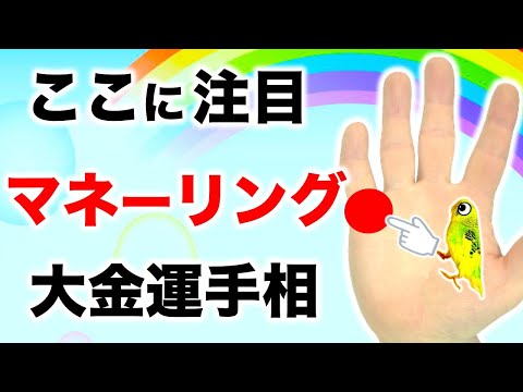 【手相】この手相があると予想以上のお金に恵まれる【切り抜き】