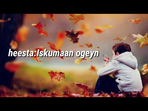 Heesta Iskuman Ogeyn