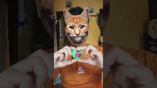 Dumb Things We All Do shorts viral