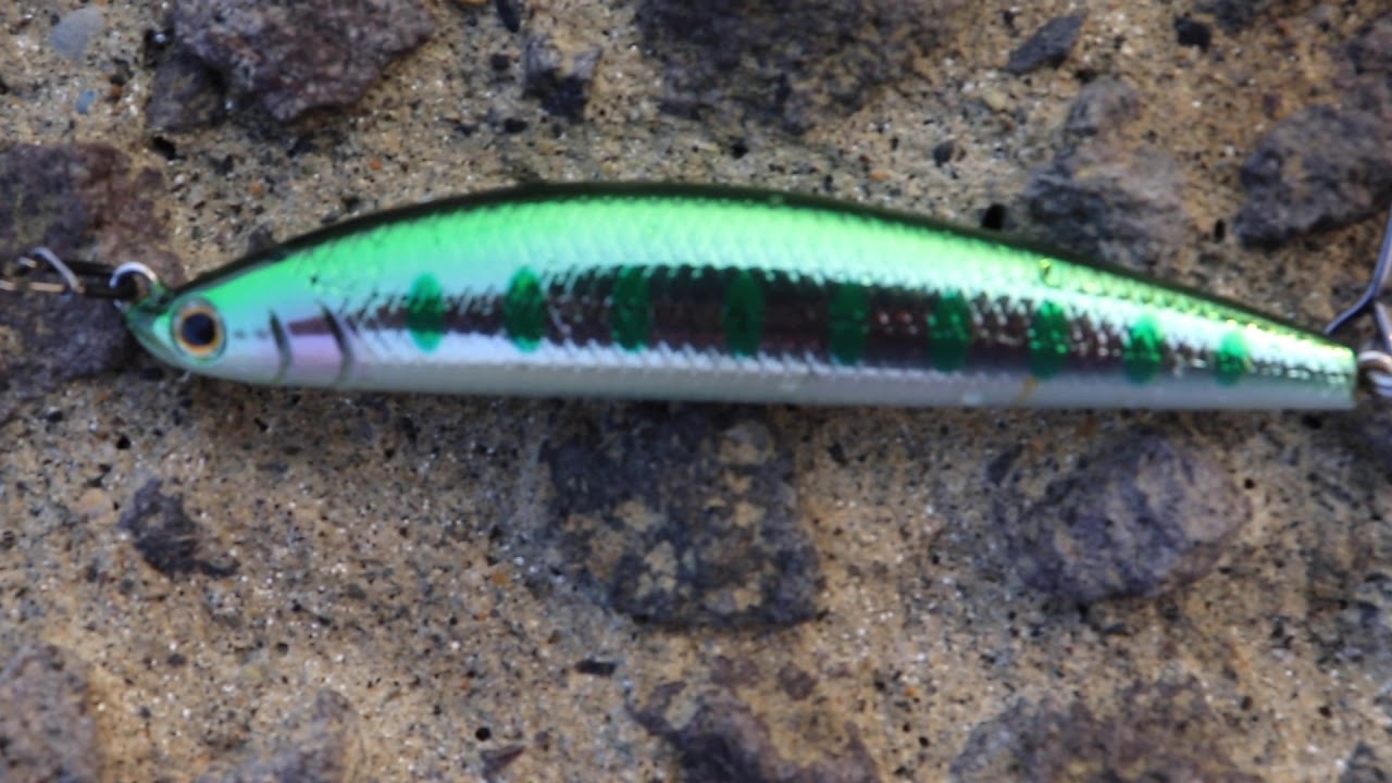 函館市大森浜のサクラマス21 2 11up Youtube