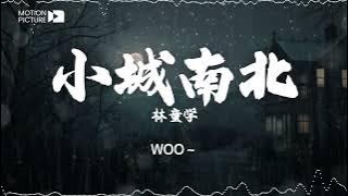《小城南北》林童学 | 抖音热门歌曲歌词 🌟 三月的春风带走我的思念 | Lyrics Video