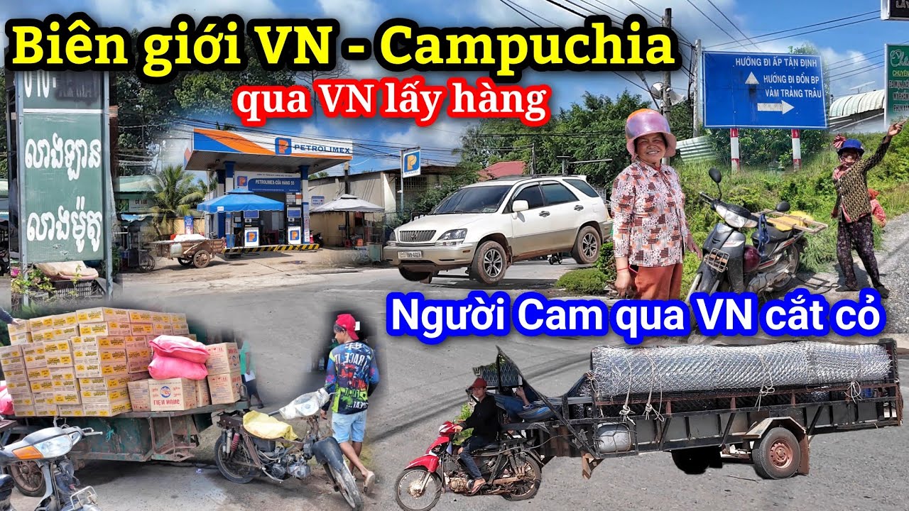 Biên giới VN - Campuchia giao thương nhộn nhịp - Người dân Cam qua VN cắt cỏ về cho bò ăn mỗi ngày.