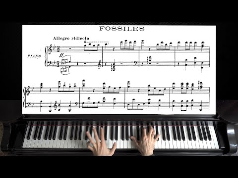 Saint Saëns Fossiles Fossils The Carnival Of The Animals