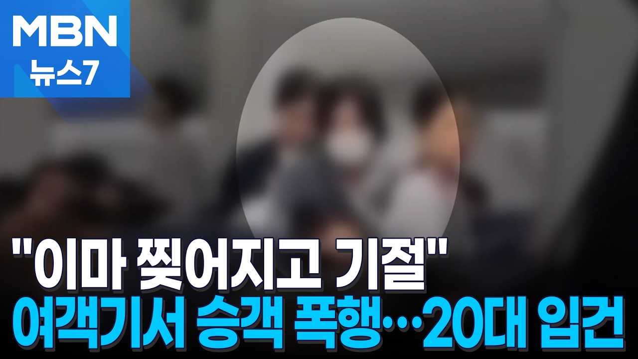 LA발 인천행 여객기서 승객 폭행…20대 여성 입건 [MBN 뉴스7]