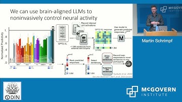 Day 2 Session 6, Martin Schrimpf, Brain-Score Vision/Language