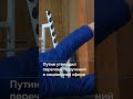 Путин утвердил перечень поручений в социальной сфере #новостисегодня
