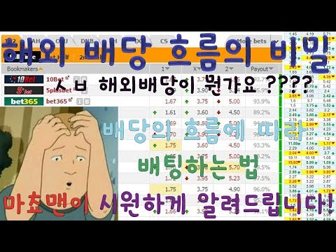 해외 배당 흐름의 비밀 