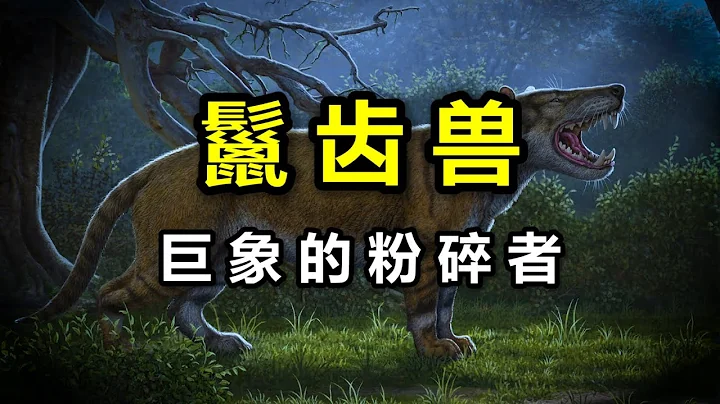 吞象的远古兽王！ 史上最大的纯肉食陆生哺乳动物 - 天天要闻