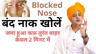 बंद नाक खोलें जमा हुआ कफ़ तुरंत बाहर Open Blocked Nose || Sanyasi Ayurveda || screenshot 4