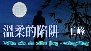 Wen rou de xian jing -Wáng fēng 溫 柔 的 陷 阱  演唱: 王 峰