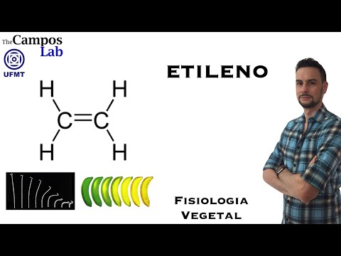 Vídeo: Por que o acetileno é mais ácido que o etileno?