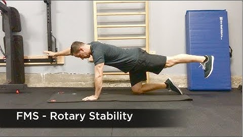 Advanced Spinal Screen - FMS Rotary Stability