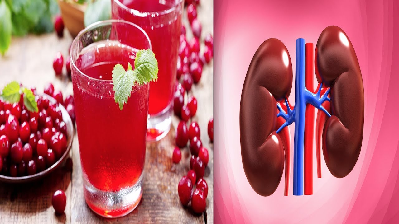 fruits-you-should-regularly-eat-to-keep-your-kidneys-healthy-youtube