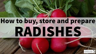 How to buy, store, and prepare radishes