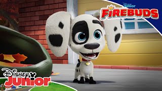 Looking for Popcorn ? | Firebuds ? | Disney Junior MENA