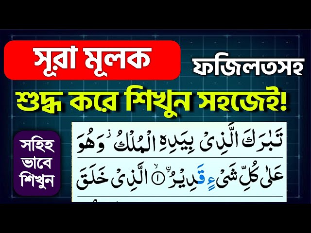 Porno sikni soradi yoki eshakni yeydi