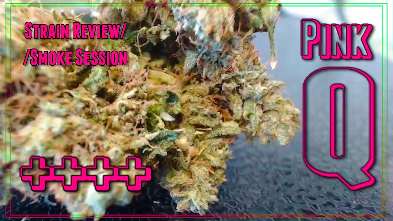 THE PINK Q (++++ PINK KUSH) || STRAIN REVIEW & SMOKE SESSION