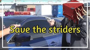 Save The Striders | 1.16+ Minecraft Datapack