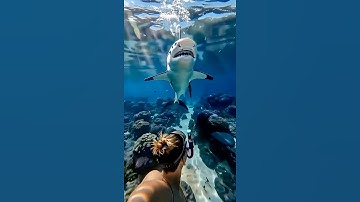 This Man ESCAPED Death in the Most Unbelievable Way… 😱#pov #attack #ai