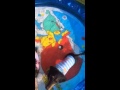 20150806 ゆうきらり プール1