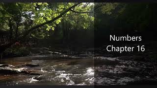 The Book of Numbers Chapter 16 - New King James Version (NKJV) - Audio Bible