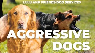 LULU AND FRIENDS FAMILY PART 4