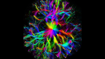 A branched flow (super short version, energy flow direction)