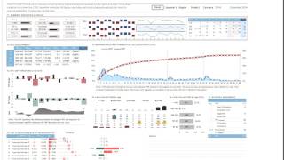 Collection Recovery Dashboard