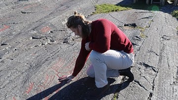 Bronze Age Petroglyphs in Sweden (Himmelstalund, Östergötland) 🇸🇪