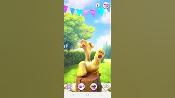 The Perfect Loop Doesn