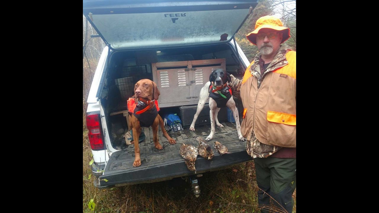 2017 Grouse season YouTube