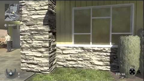 Black Ops: No Gun Glitch Tutorial