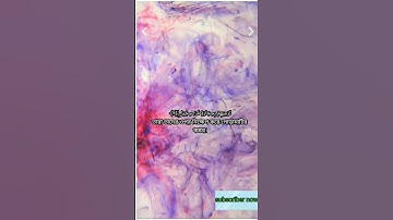 সূরা আল-ফীল | Al-Fil | سورة الفيل আয়াতঃ ৫ মাক্কী শানে নুযুল, | Abdullah bin Aoun #explore #islamic