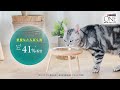 \たんぱく、たんぱく♪/猫ちゃんが夢中のヒミツ!「ピュリナ ワン」 高たんぱくシリーズ 6秒Ver.