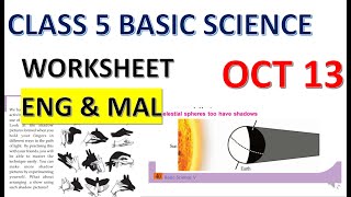 CLASS 5 BASIC SCIENCE WORKSHEET/13/10/2021/CELESTIAL SHADOW SIGHTS/EDUTEACHERKERALA/KERALA SYLLABUS