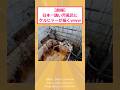 【2ch面白いスレ】【朗報】日本一醜い汚風呂にケルヒャーが届くwww #2ch面白いスレ #2ch