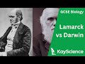 Darwin and Lamarck Theories of Evolution: A Comparative Analysis
