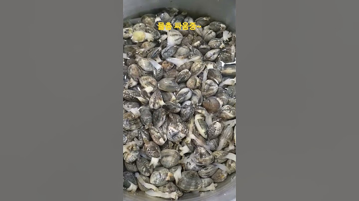 바지락 해감중 뚜껑 열면 안 되는 이유~ 물총에 맞을 수 있음~ㅎ #바지락해감 #해감